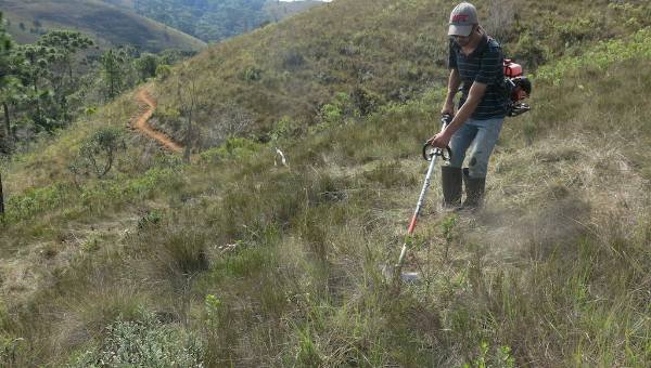 zoom-parque-2